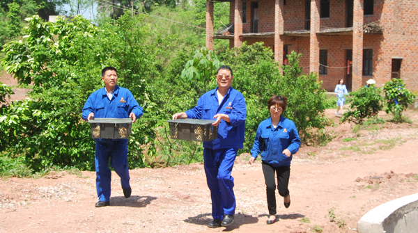 精準(zhǔn)扶貧再送雞苗